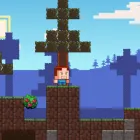 PLay CraftMine now!