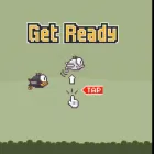 PLay Flappy Bird 2 now!