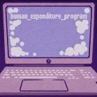 PLay Human Expenditure Program now!