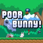 Poor Bunny - free online game