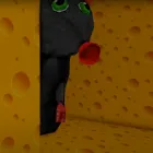 Robbie: Cheese Maze