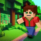 Minicraft