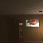 PLay Terry now!