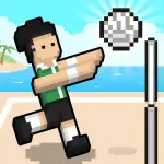Volley Random - free online game