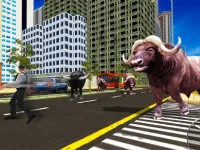 Wild Bull Shooter - free online game